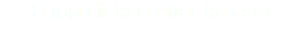 Slipp disken efter kalaset